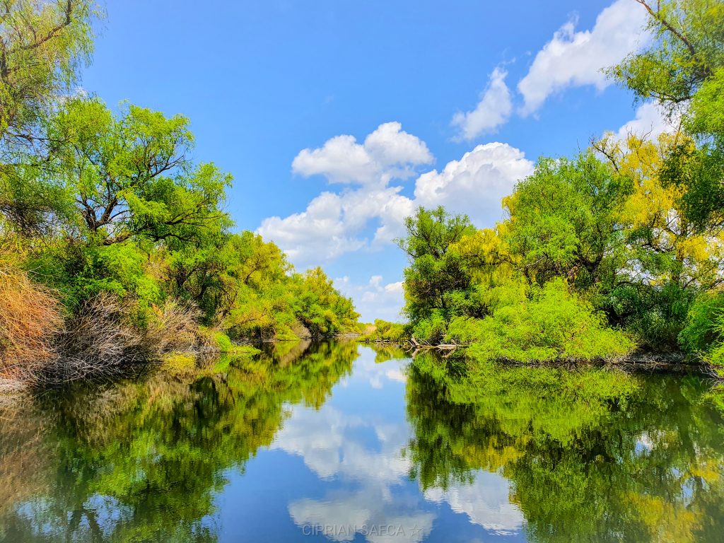 Delta Dunării paradis natural