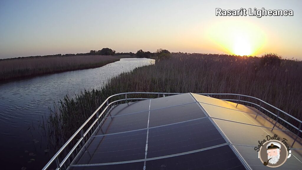 Excursii Delta Dunarii. Danube Delta multi day tours