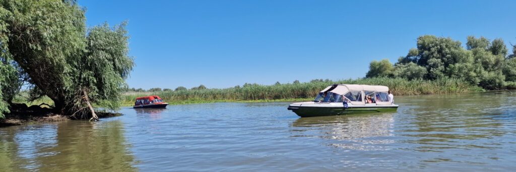 Excursii in Delta Dunarii cu barci rapide