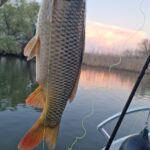 Delta Dunarii pescuit