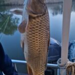 Pescuit Delta Dunarii 2026