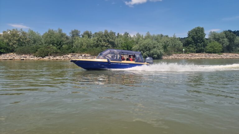 Cum ajungi în Delta Dunării: transport și acces