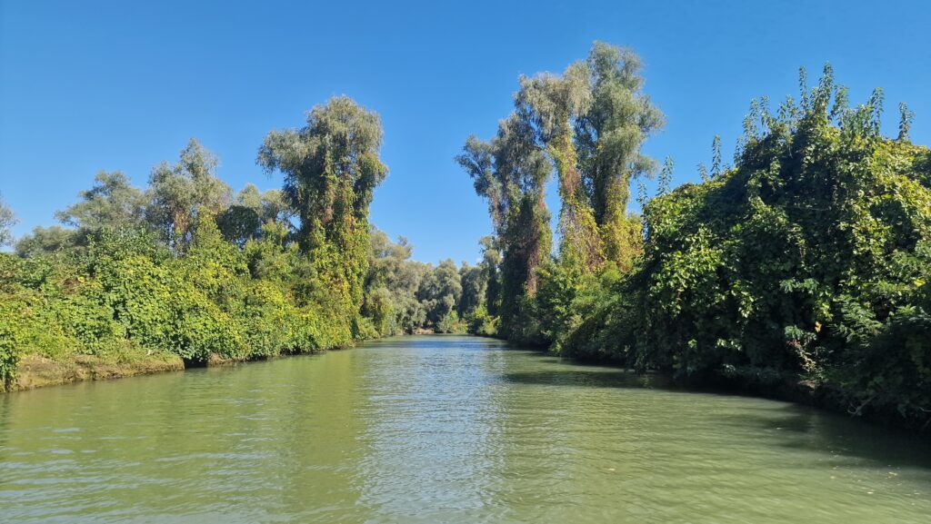 Sejur in Delta Dunarii