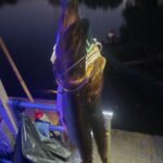 Pescuit Delta Dunarii 2026