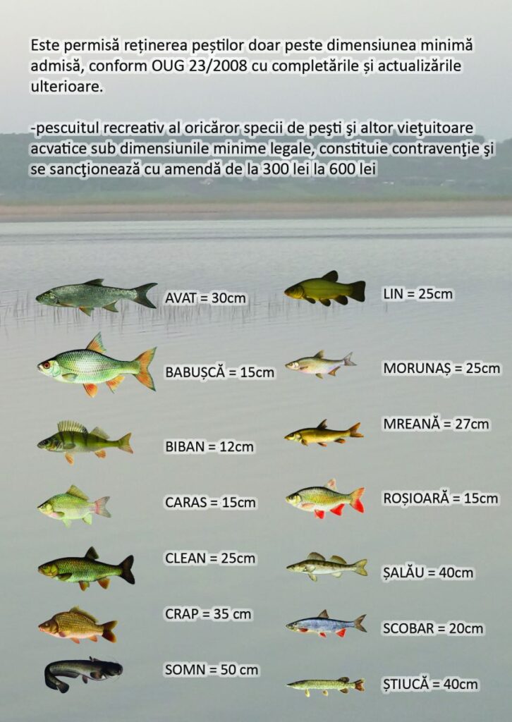 Pescuit in Delta Dunarii. Pescuit Delta Dunarii