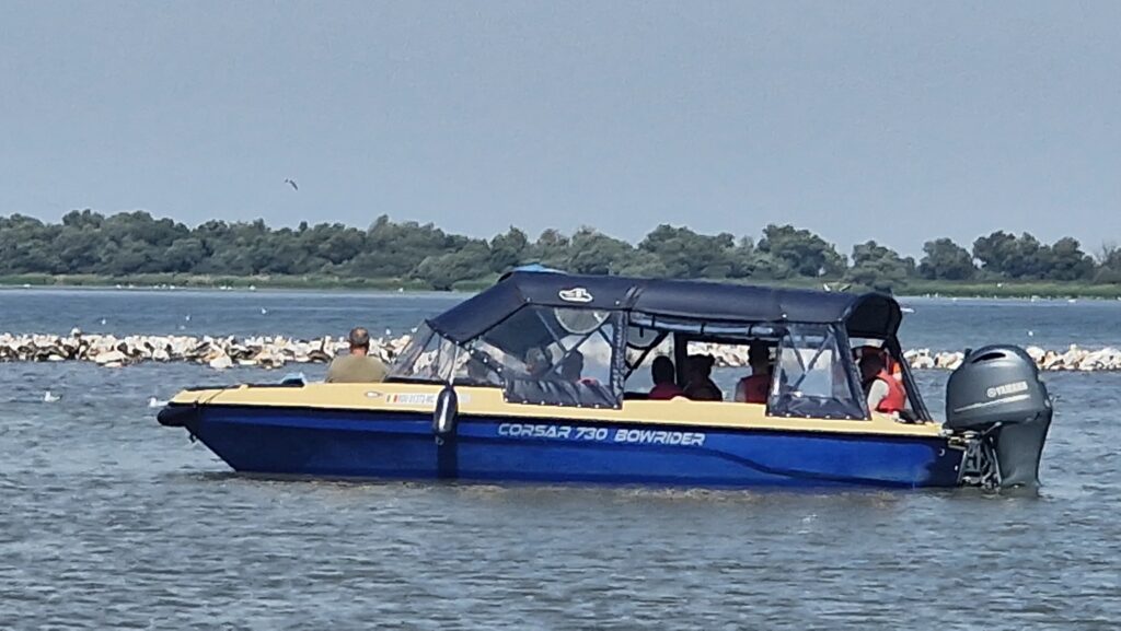Excursii in Delta Dunarii cu ambarcatiuni rapide