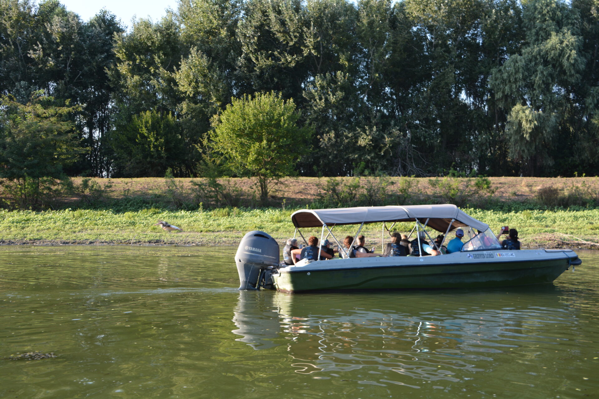 Danube Delta tours, Excursii in Delta Dunarii
