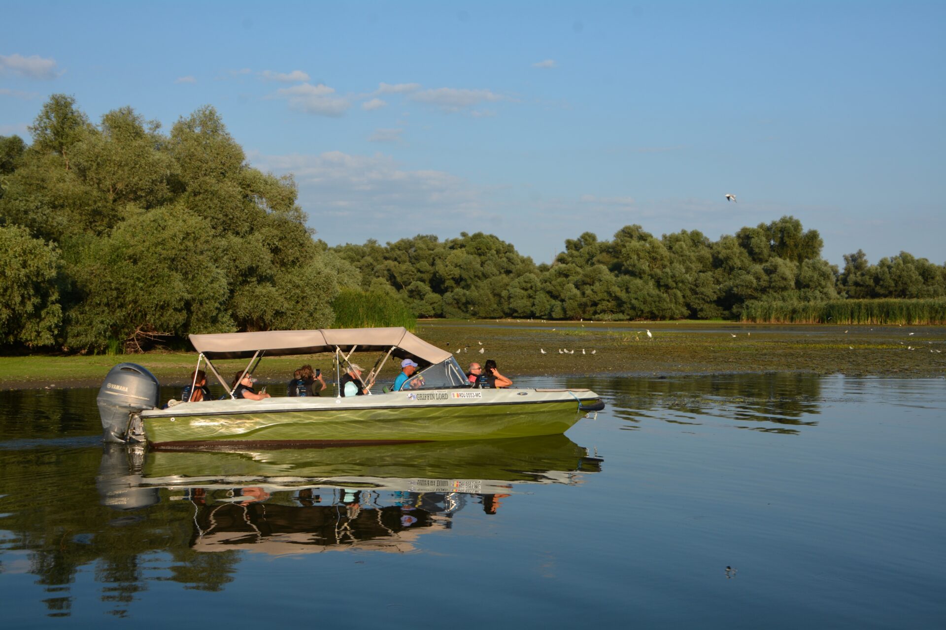 Excursii Delta Dunarii, Danube Delta tours